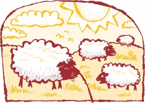 sheep_in_pasture_red_lines