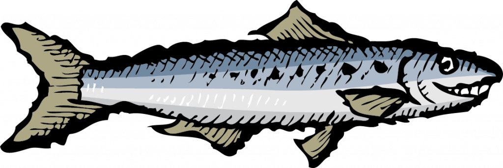 sardine-smiling-f12