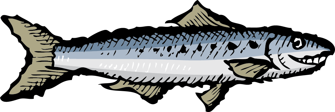 sardine-smiling-f12