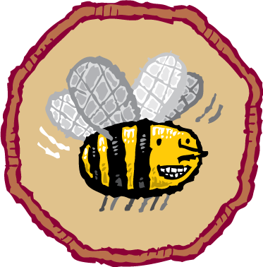 buckwheat-honeycake-icon-bee