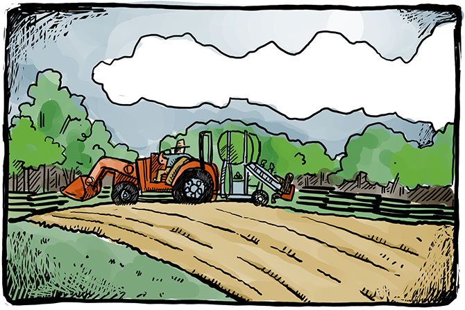 Tractor-Planting