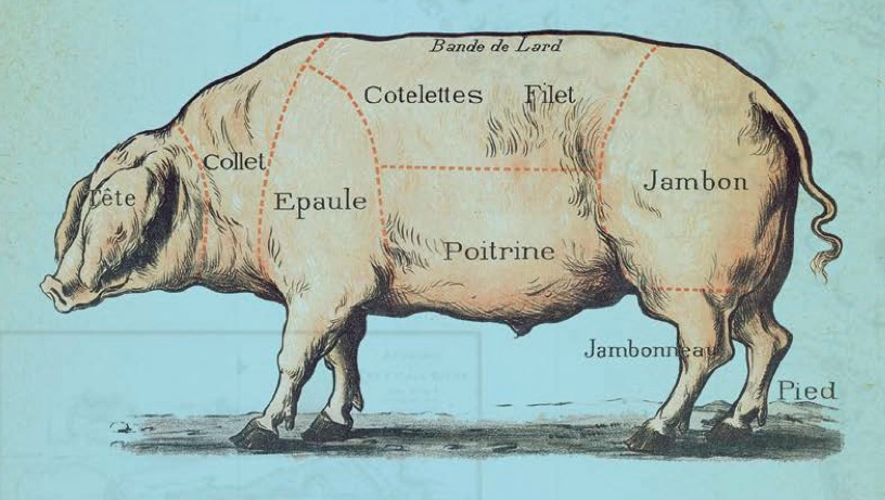 Snout-to-Tail History of the Humble Pig