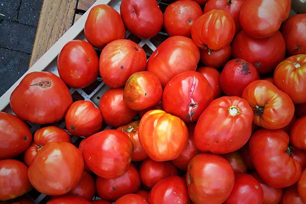 tomatoes_tomatodinner