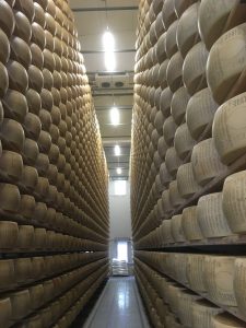 Parmigiano Reggiano aging on shelves from floor to ceiling