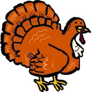 turkey, illustrated