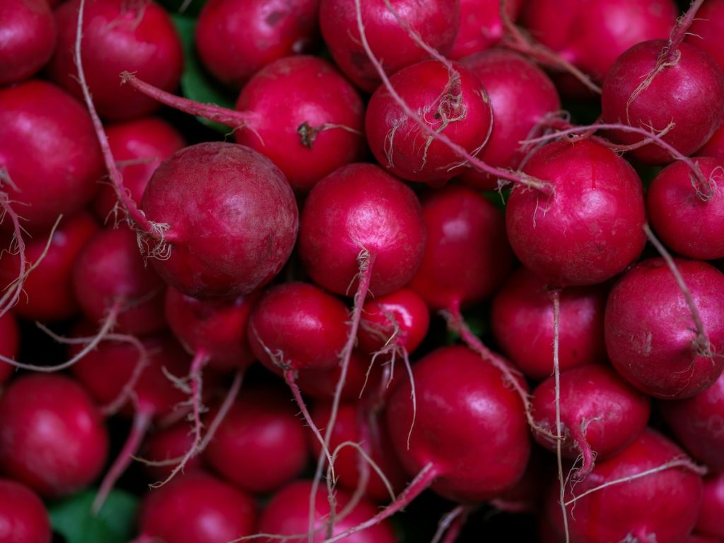 Super-Tasty Ukrainian Radish Fall Salad to Make at Home a close up view of lots of radishes
