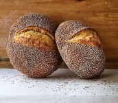 Sicilian Sesame Semolina Bread