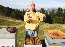 In Memoriam: The Magical Honeys of Miele Thun