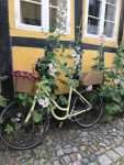 Bike+with+flowers+-+Photo+ØBO+TOURS